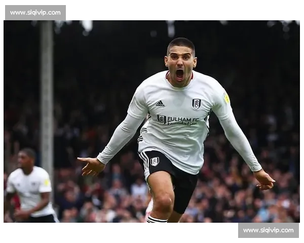 西班牙人免签塞尔维亚门神 德米特罗维奇加盟镇守龙门 西班牙人免签塞尔维亚门神 德米特罗维奇加盟镇守龙门